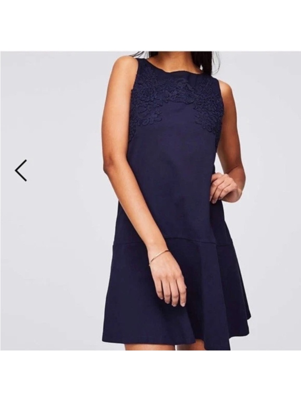Ann Taylor LOFT Navy Sleeveless Lace Yoke A-Line Flounce Dress